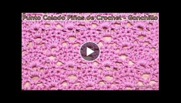 Cómo Tejer el Punto Calado Piñas de Crochet - Ganchillo Paso a Paso