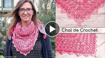 Chal de Crochet Fácil Paso a Paso | Chal de Ganchillo Triangular | Aprende Crochet Paso a Paso