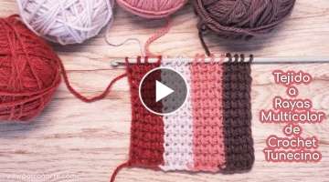 Cómo Tejer Rayas Verticales Multicolor de Crochet Tunecino Paso a Paso
