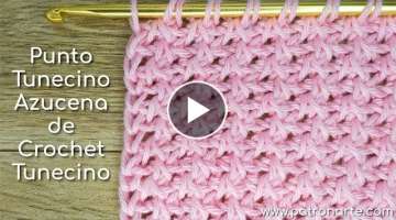 Punto Tunecino Azucena de Crochet Tunecino Paso a Paso con Aumentos y Disminuciones Incluidos
